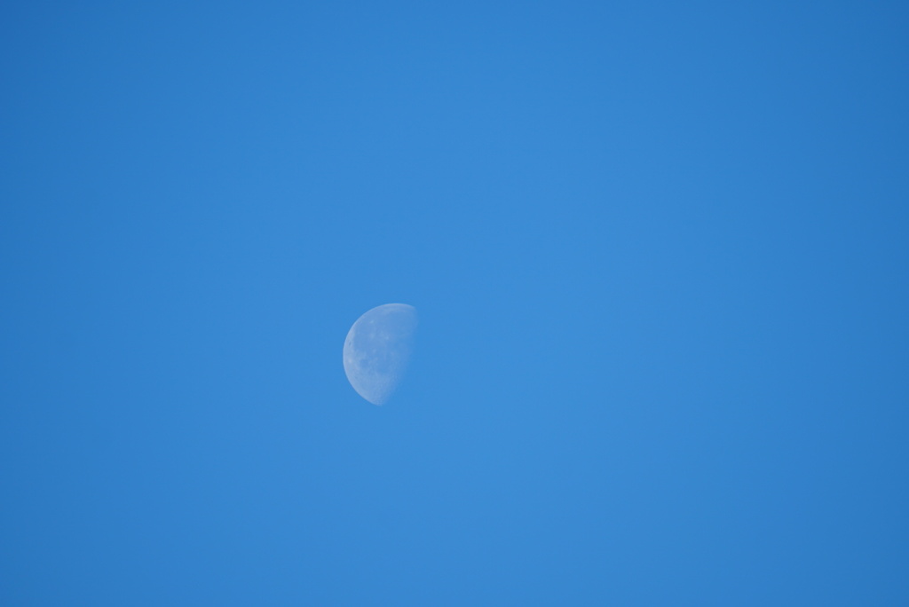 DSC03252_1