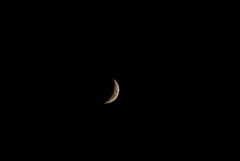 DSC02212_1