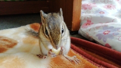 IMG_20230706_144836