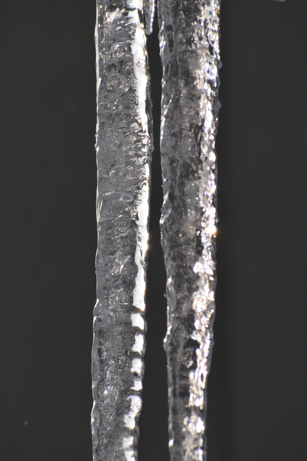 DSC_1015