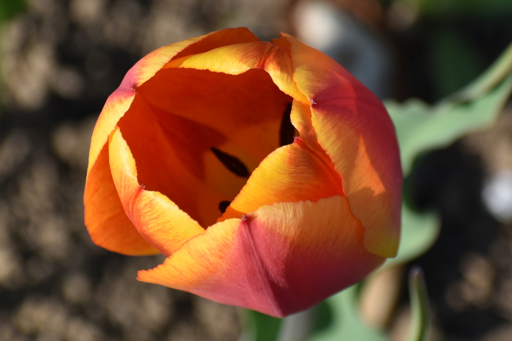 DSC_1912