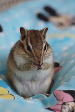 DSC08781
