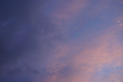 DSC07546_1