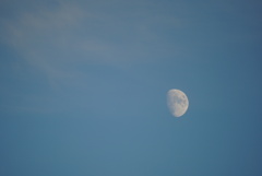 DSC00526