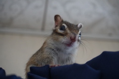 DSC08166