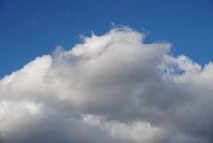 DSC03457