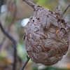 DSC08617_2