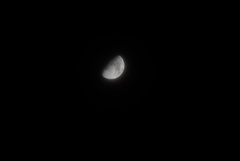 DSC06266