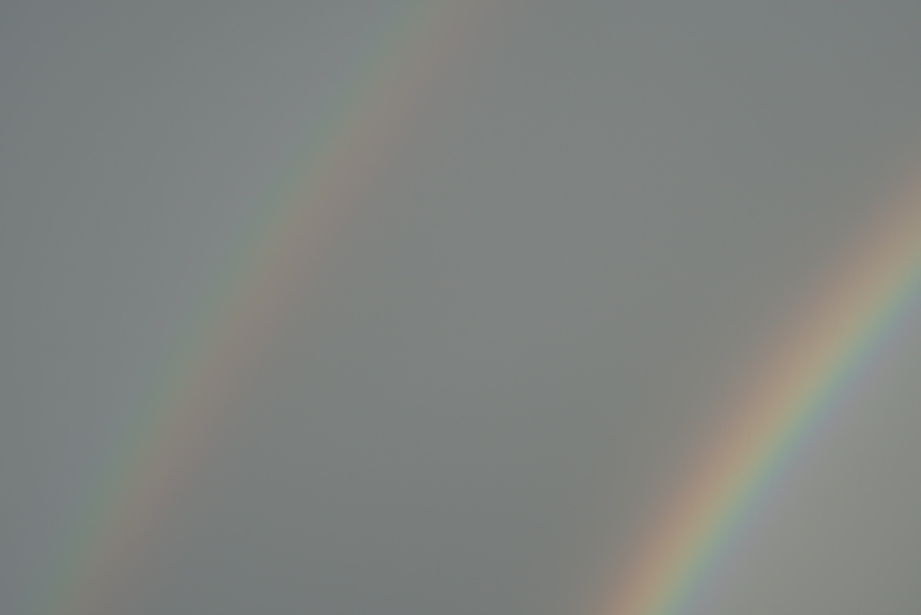 DSC08150