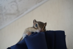 DSC05036