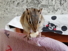 IMG_20220929_124420