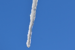 DSC_0811_2