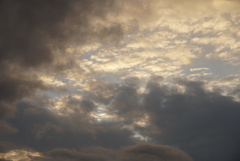 DSC08067