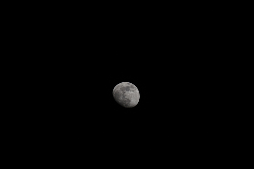 DSC04520_1