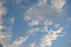DSC01359_1