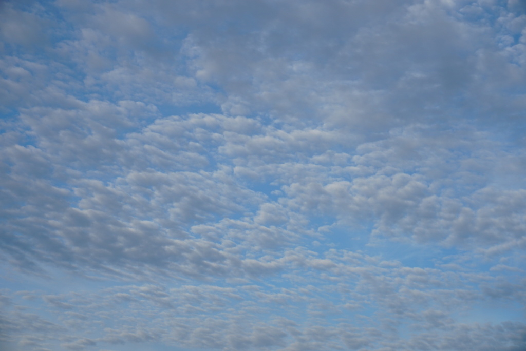 DSC06867_1