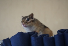 DSC09589