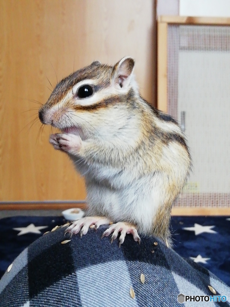 IMG_20220324_143428_1