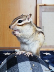 IMG_20220324_143428_1