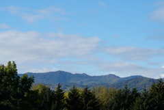 DSC06750