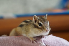 DSC00025