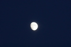 DSC00804_1