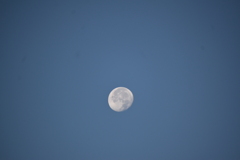 青空の浮かぶ月