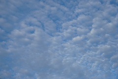 DSC06862_1