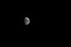 DSC00537_3