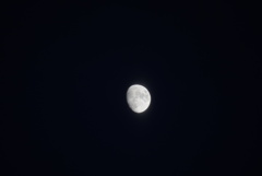 DSC00680_1