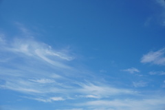 DSC05064