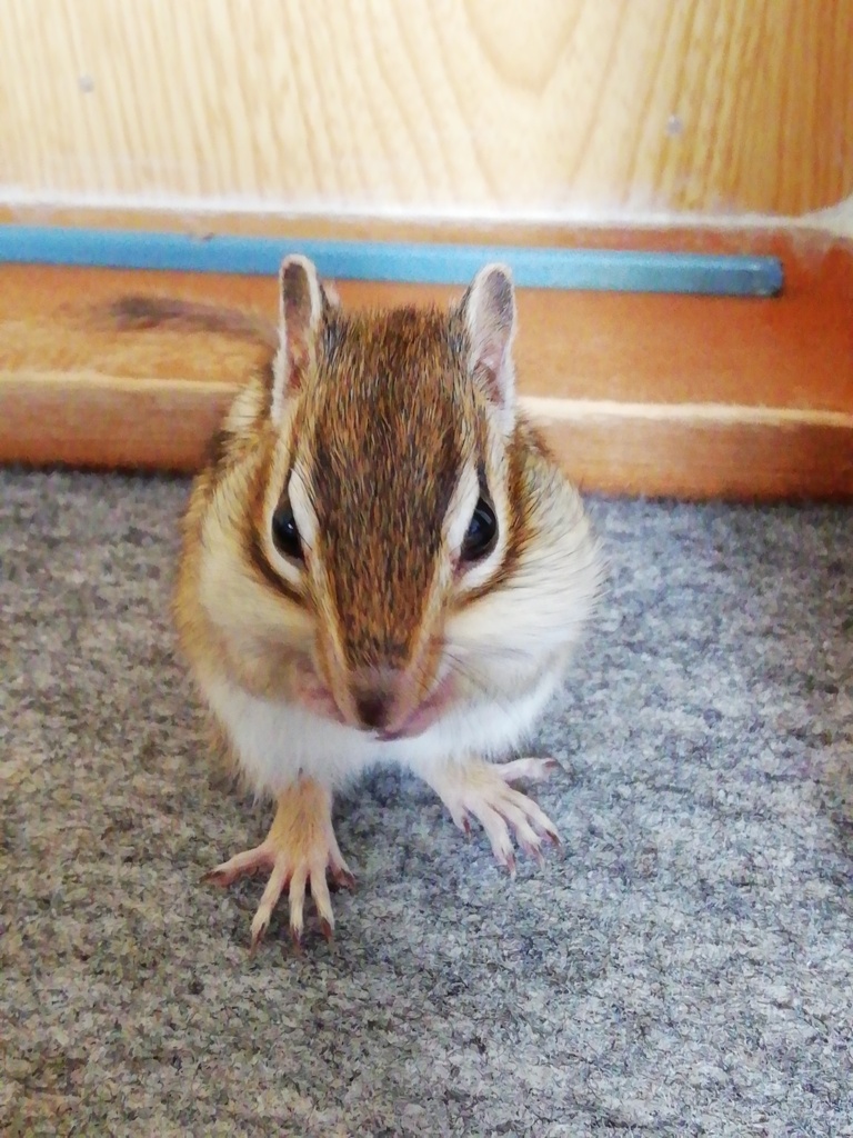 IMG_20220228_130549_1