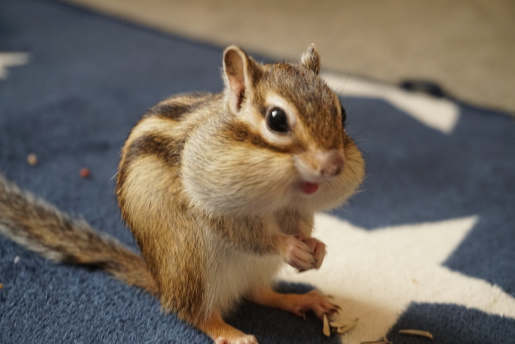 DSC00625