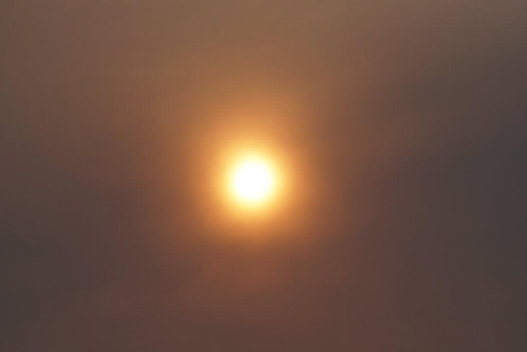 DSC03951