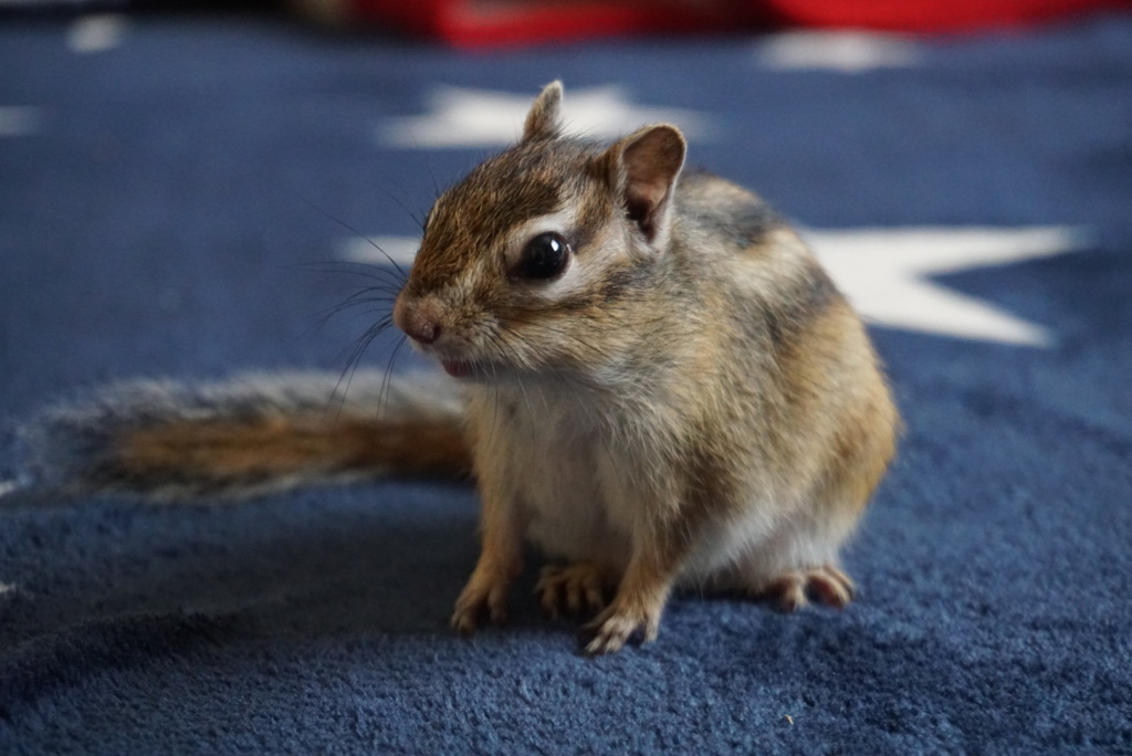 DSC03601