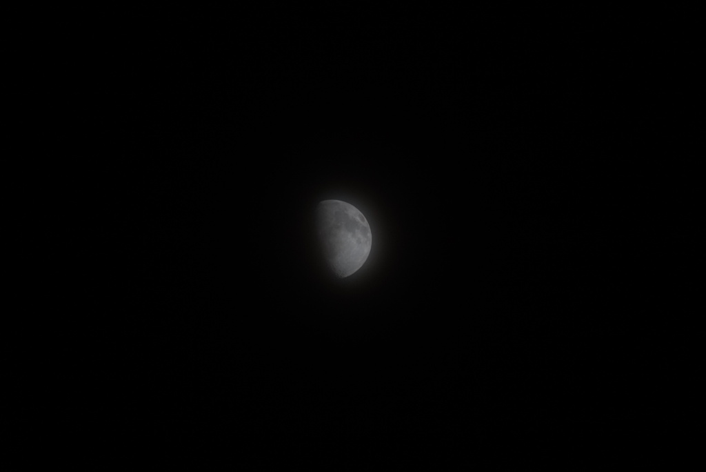 DSC08163_1