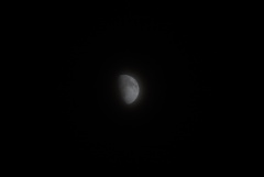 DSC08163_1