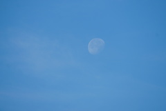 青空に浮かぶ月