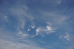 DSC00075_1