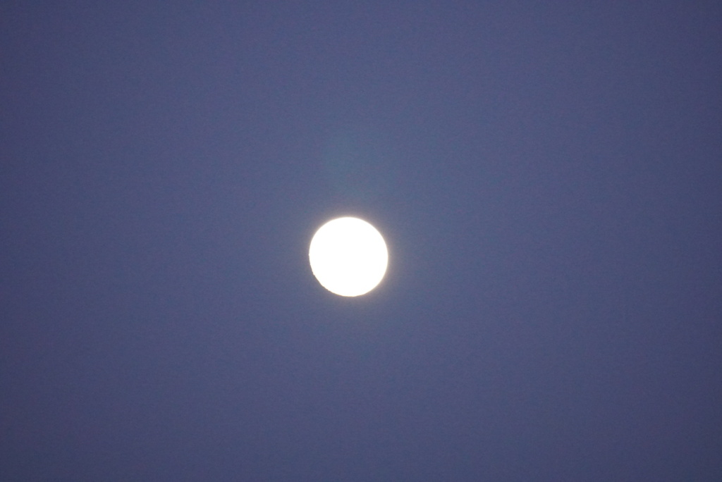 DSC02835