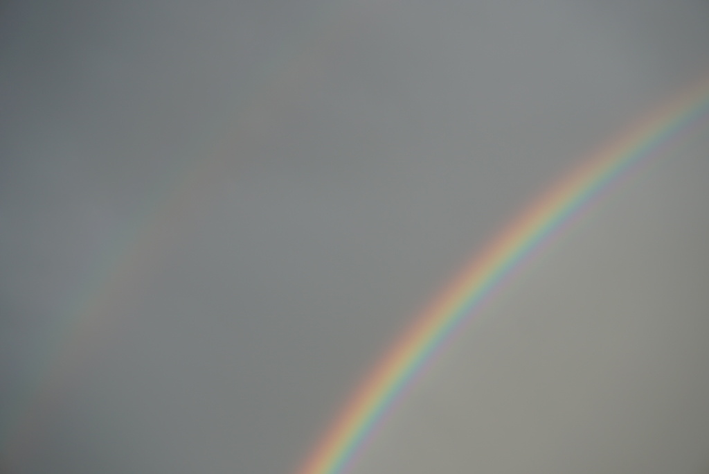 DSC08159