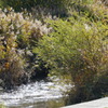 DSC09288