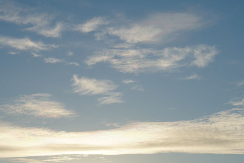 DSC01135_1