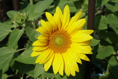DSC00640_1