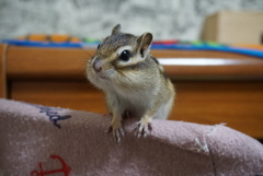 DSC01133