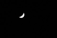 DSC02260_1