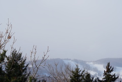 DSC04838_1