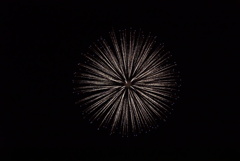 DSC02295