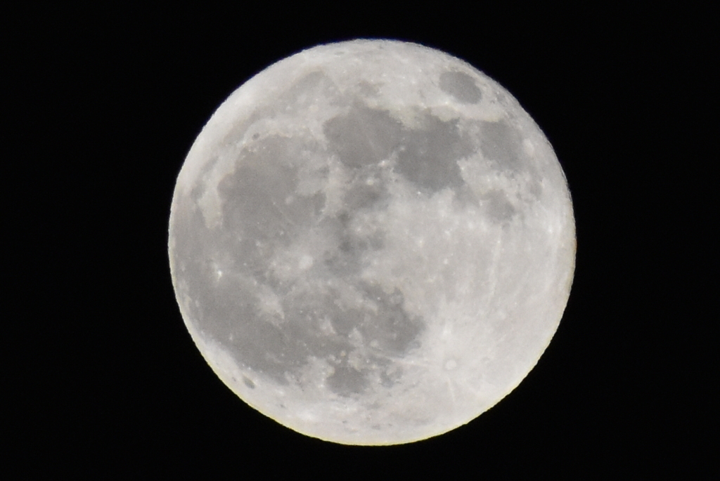 DSC_0539_1