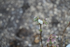 DSC09394_2